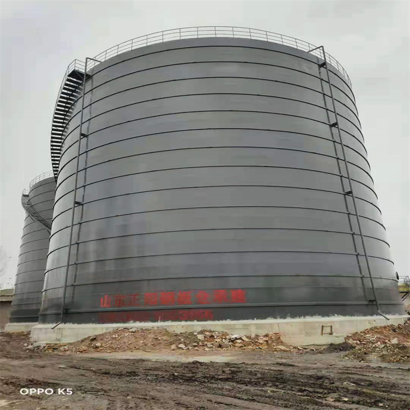 安平3万吨大型钢板库